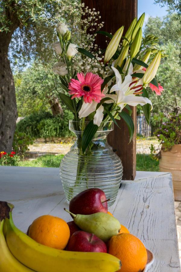 Villa Elaia Suites & Apartments No.3 Γάιος Εξωτερικό φωτογραφία