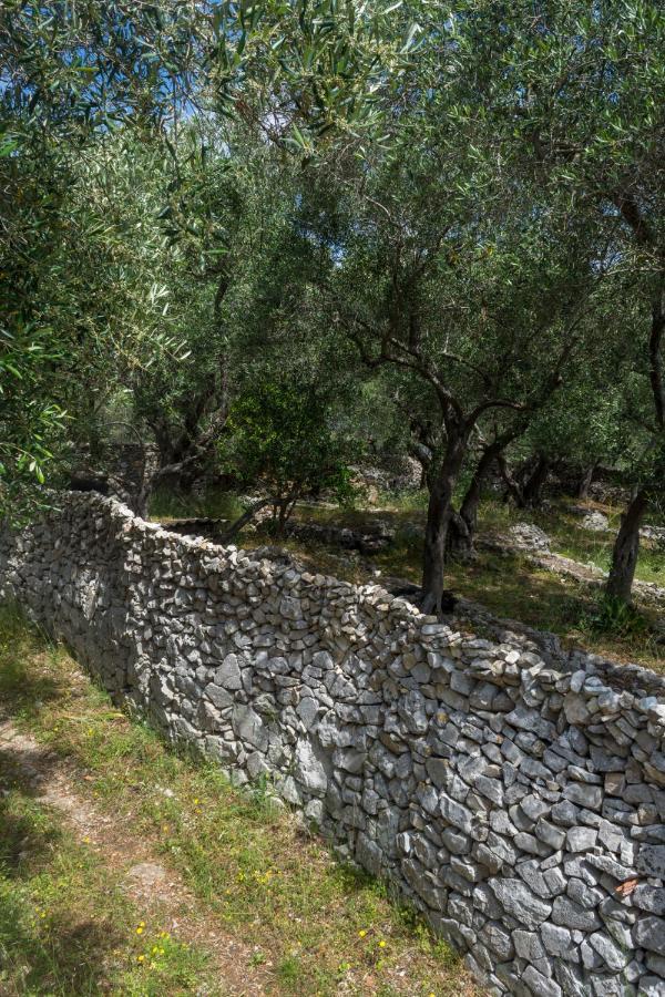 Villa Elaia Suites & Apartments No.3 Γάιος Εξωτερικό φωτογραφία